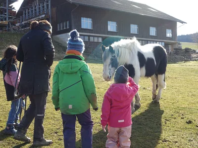 Ferienprogramm.ch