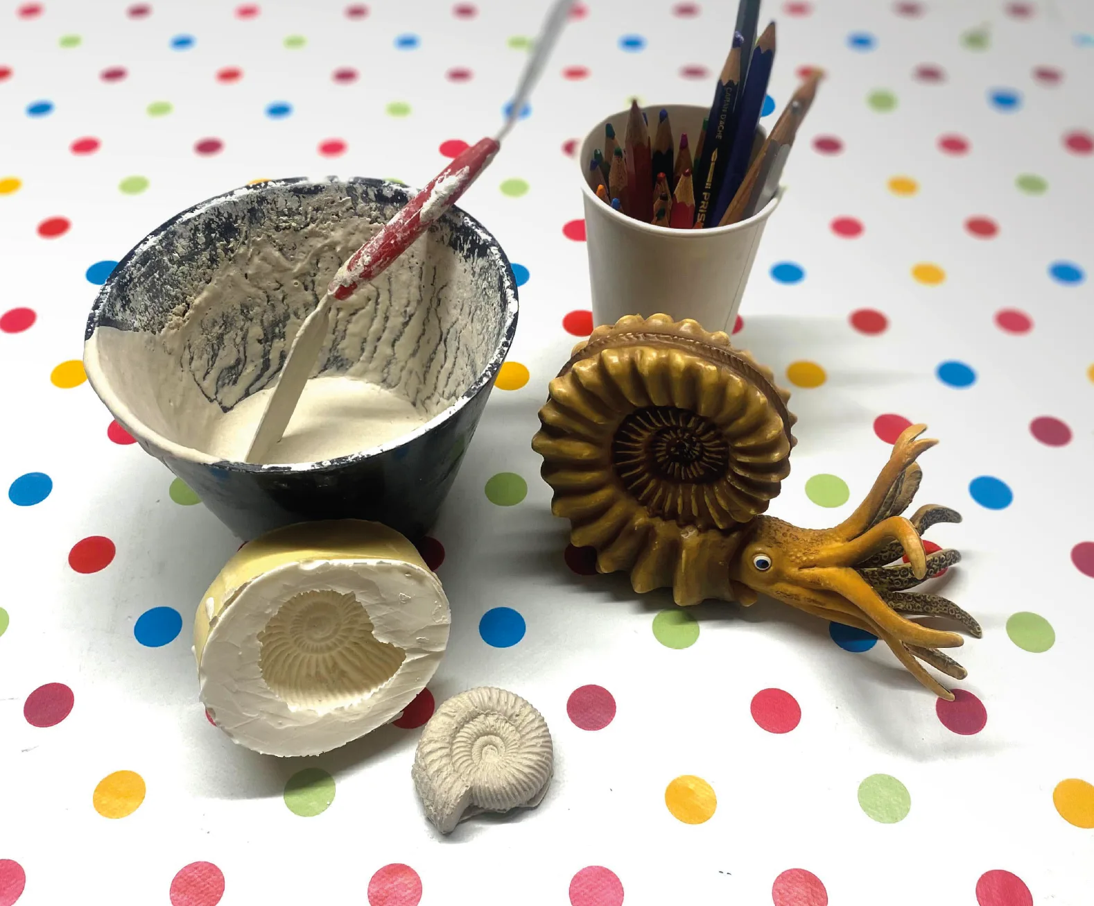 Fossilien giessen und entdecken